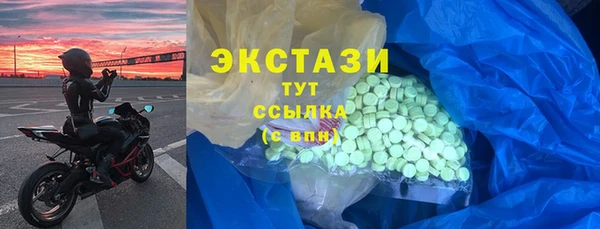 дживик Инта