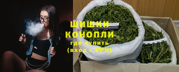 дживик Инта