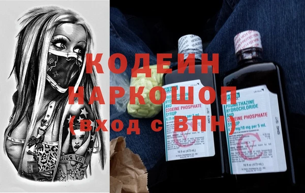 дживик Иннополис
