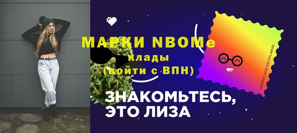 хмурый Каменногорск