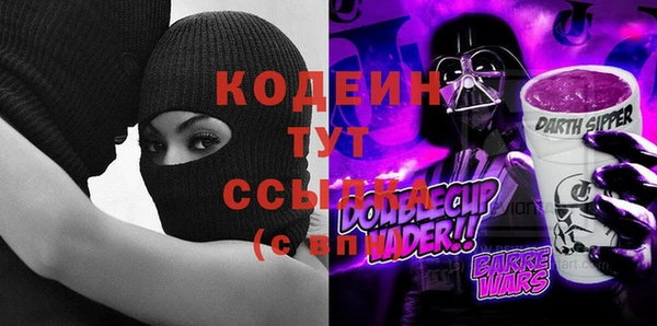 первитин Каменка