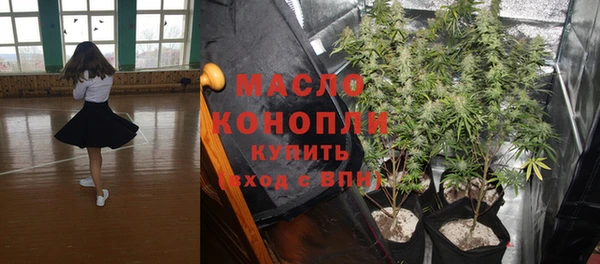 хмурый Каменногорск