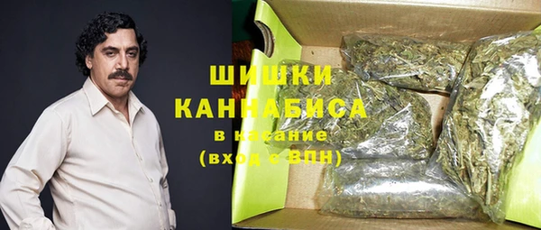 хмурый Каменногорск