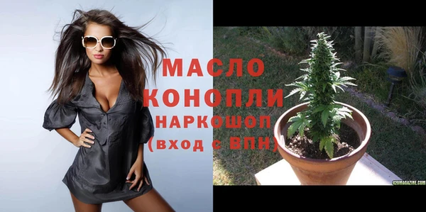 первитин Каменка