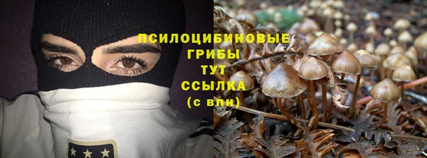 дживик Иннополис