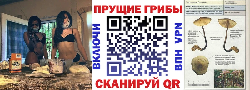 Галлюциногенные грибы Magic Shrooms  Купить закладки  Боровичи 